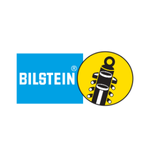 BLISTEIN